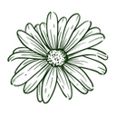 ventrelivre.com.br favicon