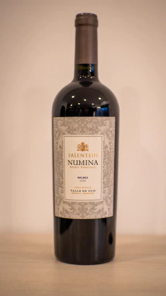 SALENTEIN NUMINA Malbec - comprar online