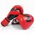 Luvas de Boxe Adulto Vipfhen
