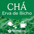 Chá de Erva de Bicho