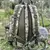 Mochila 40 lts corte Laser - Multicam en internet