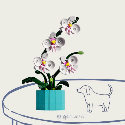 Orquídea de bloques armables. - comprar en línea