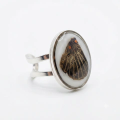 Anillos óvalo CH - comprar en línea