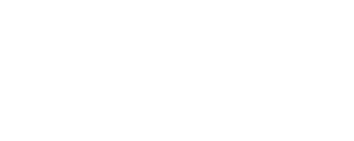 Lions Sneakers - Loja de Tênis