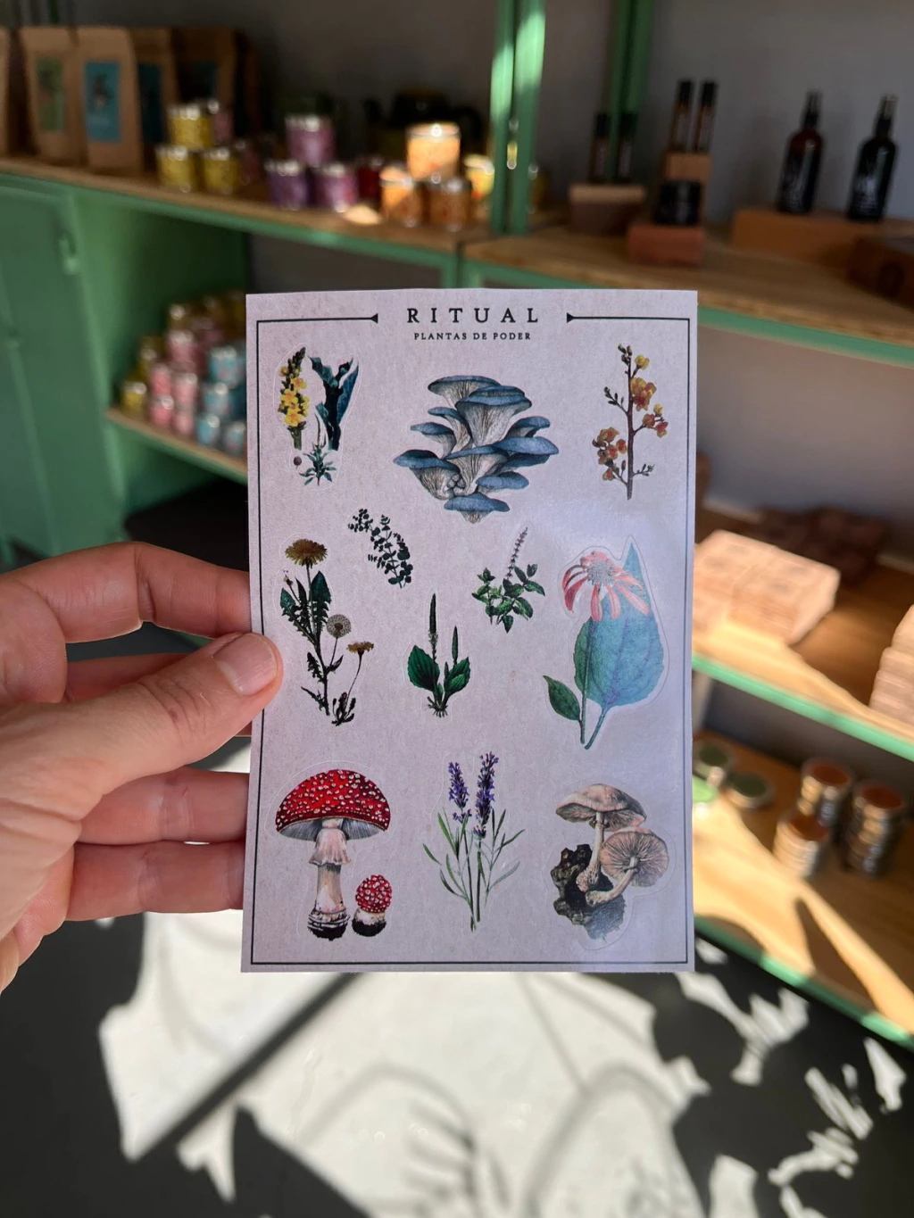 stickers plantas y hongos ritual