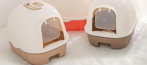 Carrusel Custos Trade SRL