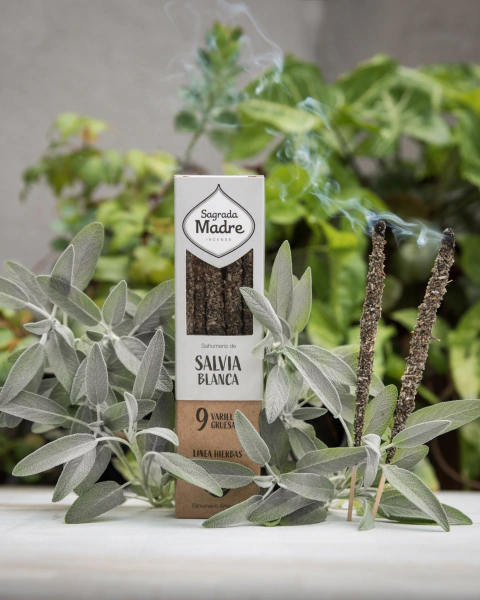 Incenso Sálvia Branca - Limpeza & Proteção | Sagrada Madre