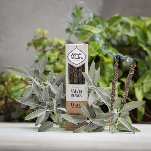 Incenso Sálvia Branca - Limpeza & Proteção | Sagrada Madre - comprar online