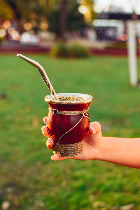 MATE TRADICIONAL ESPECIAL - comprar online