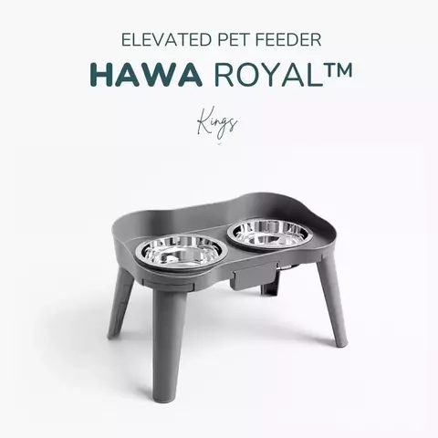 Anti-Reflux Pet Feeder - Hawa Royal™ - buy online