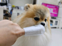 Sophie L. – Bristol