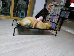 Amelia H. – Londres