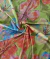 TECIDO MALHA ESTAMPADA FIO LUREX