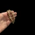 Pulseira Cadeado 10mm Banhado A Ouro 18K Premium na internet