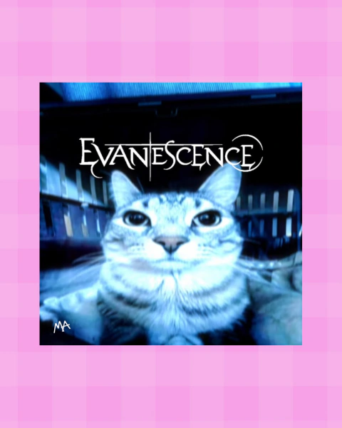 imã evanescence