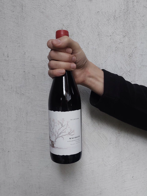 Macollo - Sangiovese