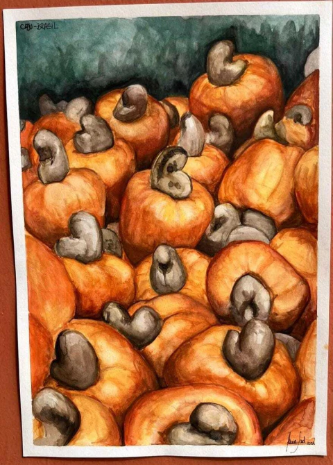 aquarela Caju