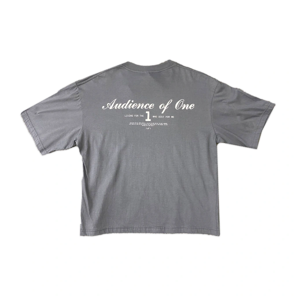 Remera Boxy Audience of one