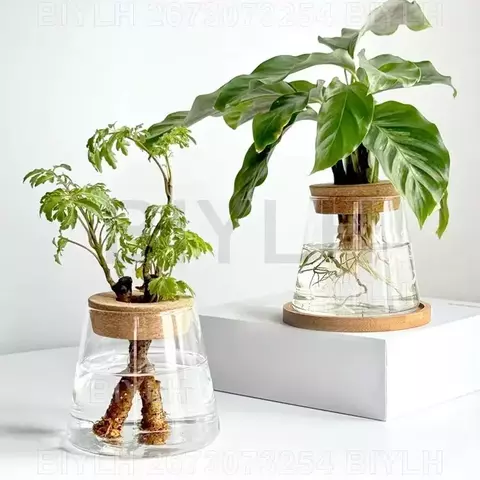 Vaso de Vidro para Plantas - comprar online