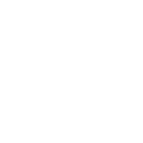 Ziva Magazine