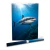 Poster - Tiburón Blanco - Especies Marinas