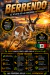 Poster - Berrendo - Especies Salvajes De México - Posters México