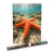 Poster - Estrella de Mar - Especies Marinas