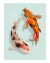 Poster Artístico - Danza del Koi - Posters México