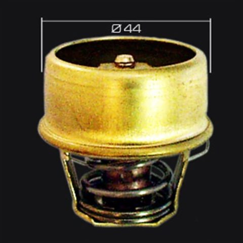 TERMOSTATO RENAULT CLIO 1.2, R18, R21 2.0, TRFIC 1.6, TWINGO 1.6