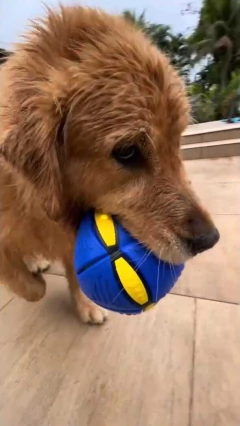 Paloma Ramos Andrade