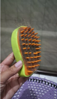 Natália Mendes Braga