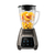 LICUADORA TOPCAT TOUCH SCREEN OSTER 1000W 12XBG