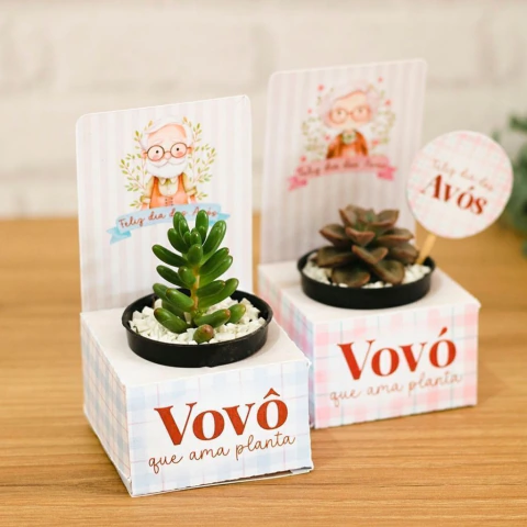10u Porta Suculenta Dia dos Avos