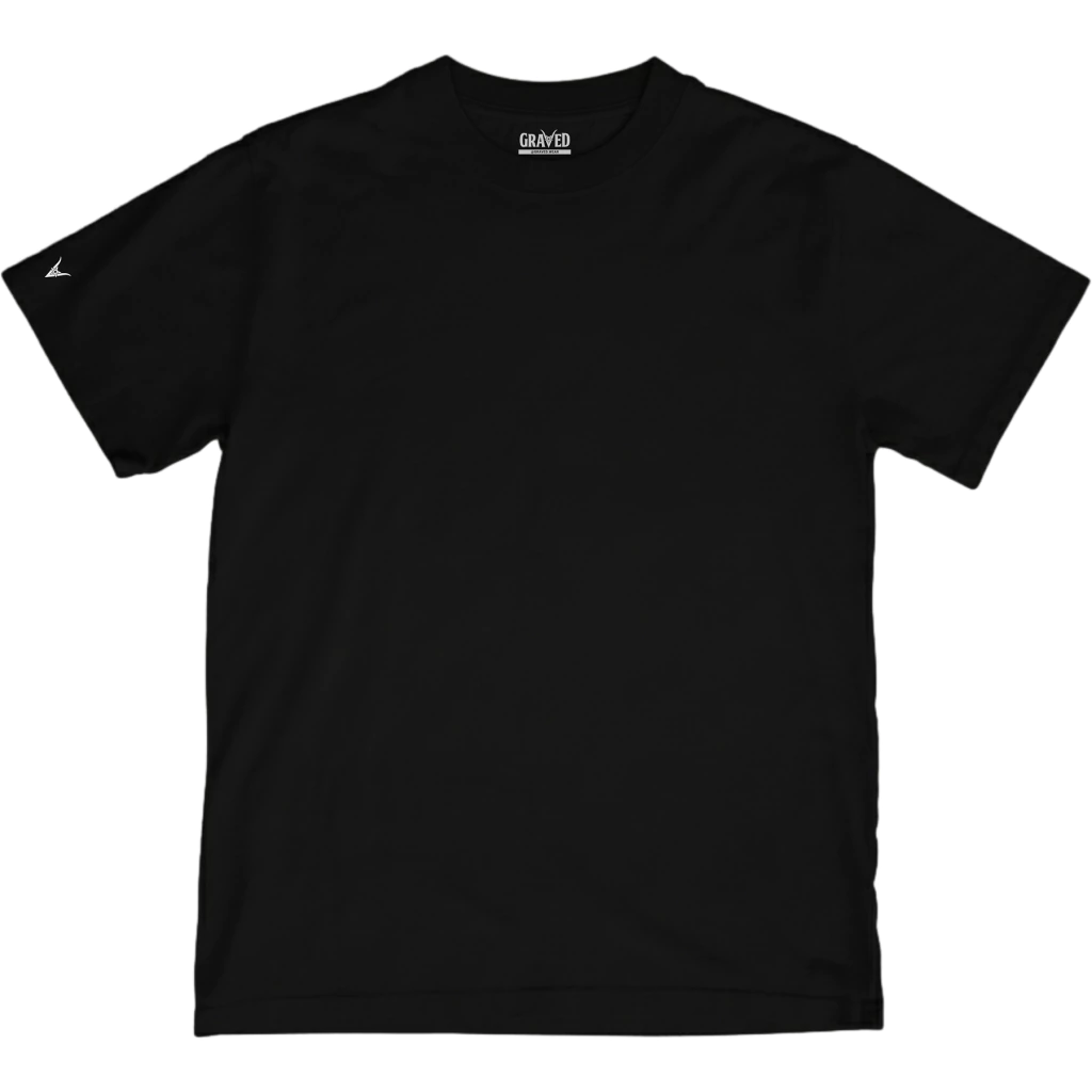 Camisetas Regular Premium - Lisa