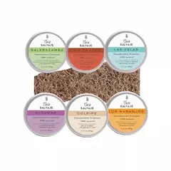 Coco Salvaje - Desodorante Crema