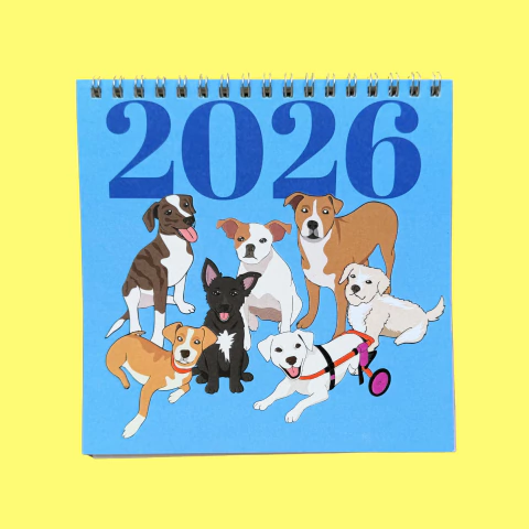 CALENDÁRIO 2026