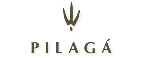 Pilagá