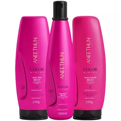 Kit Aneethun Brilho Color System System - Xampu, Máscara e Finalizador de Brilho