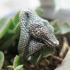 Yarará PLATA 925