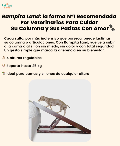 Carrusel PatitasLand