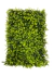 Kit 50 Placas De Eucalipto 40x60 Jardim Vertical Artificial Cheia na internet