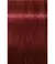 IGORA R 6-88 LOURO ESCURO VERMELHO EXTRA - 60 GR - comprar online