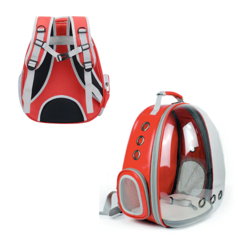 Morral transparente de lona - comprar en línea