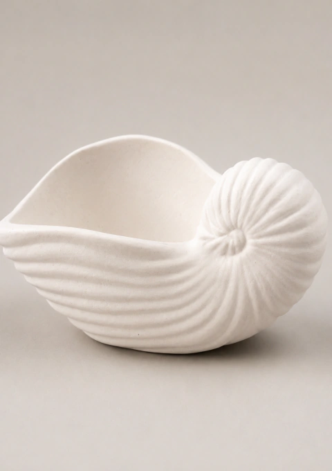 Caracola yeso