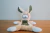 PELUCHE CONEJO LARGO - comprar online