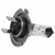 Lâmpada H7 12v 55w Toro Doblo 2010 Stilo 03/11 - comprar online