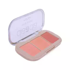 TRIO DE BLUSHES DIA A DIA - MAHAV na internet