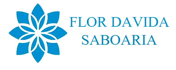 Flor da Vida Saboaria