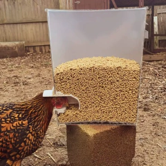 Boquilla para comedero para aves/gallinas en internet