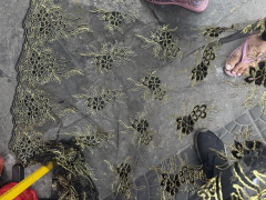 Tule vermelho com dourado e preto com dourado